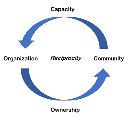 Circular graph with areas pointing to Organization and Community with Ownership at the bottom and Capacity at the top. Reciprocity is in the middle